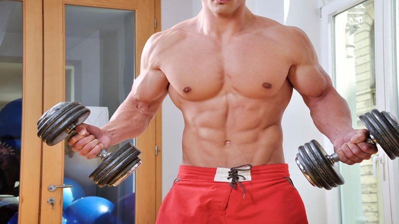 Increase muscle weight