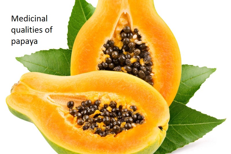 Medicinal qualities of papaya
