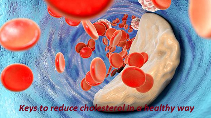 Keys to reduce cholesterol in a healthy way