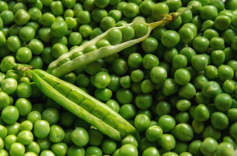 green fruit and vegetables