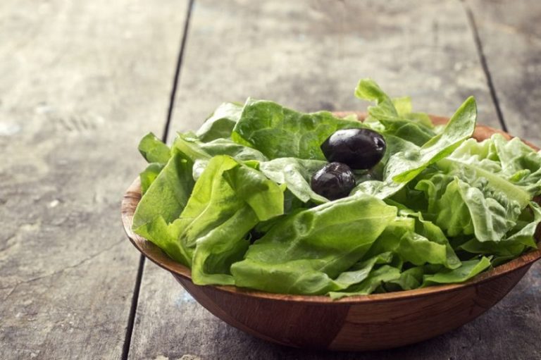 Benefits Of Buttercrunch Lettuce Health Articles Magazine